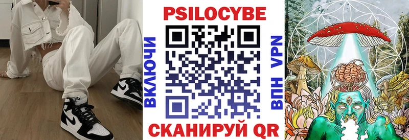 Купить закладки  Чкаловск  Галлюциногенные грибы Psilocybine cubensis 
